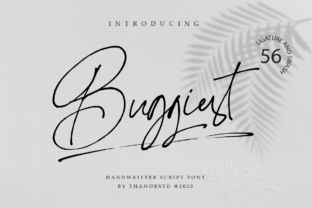 Buggiest: The Font That Elevates Your Brand