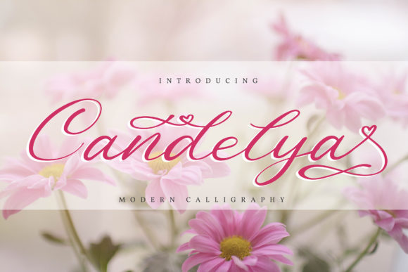 Candelya: A Delicate Script Font for Handmade Crafters