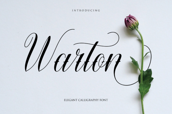 Warton: A Script Font That Adds Warmth to Branding